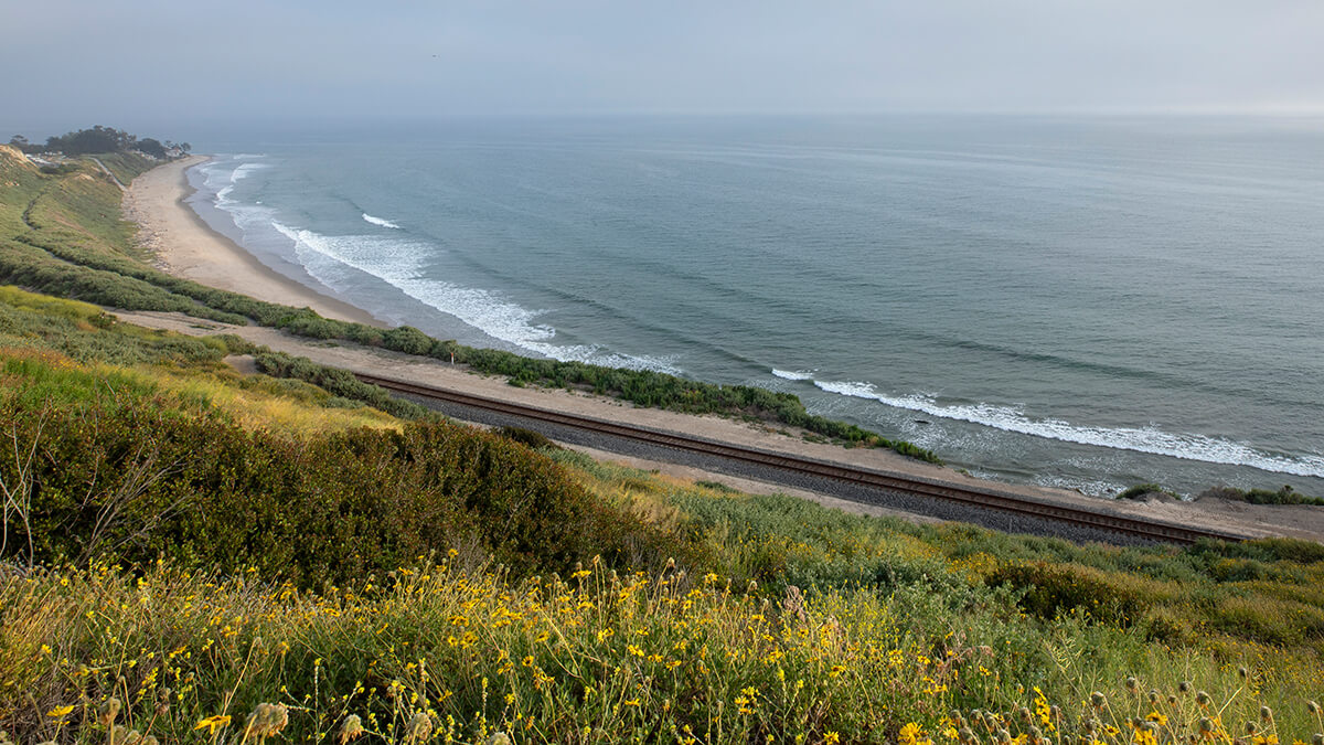 Introducing An Updated Look For The LOSSAN Agency | Pacific Surfliner